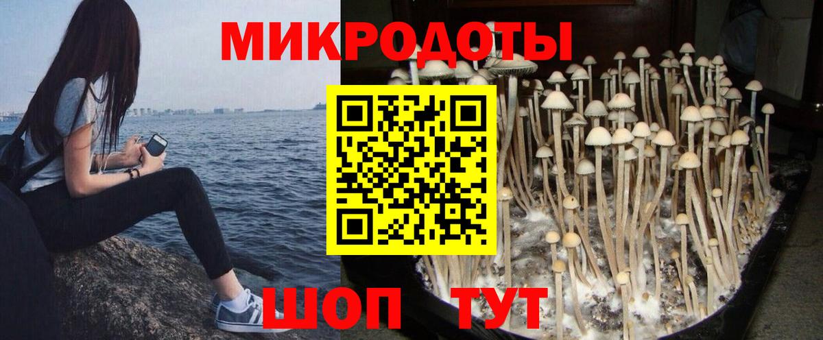 Стрежевой  Галлюциногенные грибы Psilocybe  Вход с VPN  закладки  Галлюциногенные грибы мицелий 